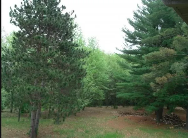 $51,700 | N2837 Ona Pines Road, Unit 4, Weyauwega, WI 54983