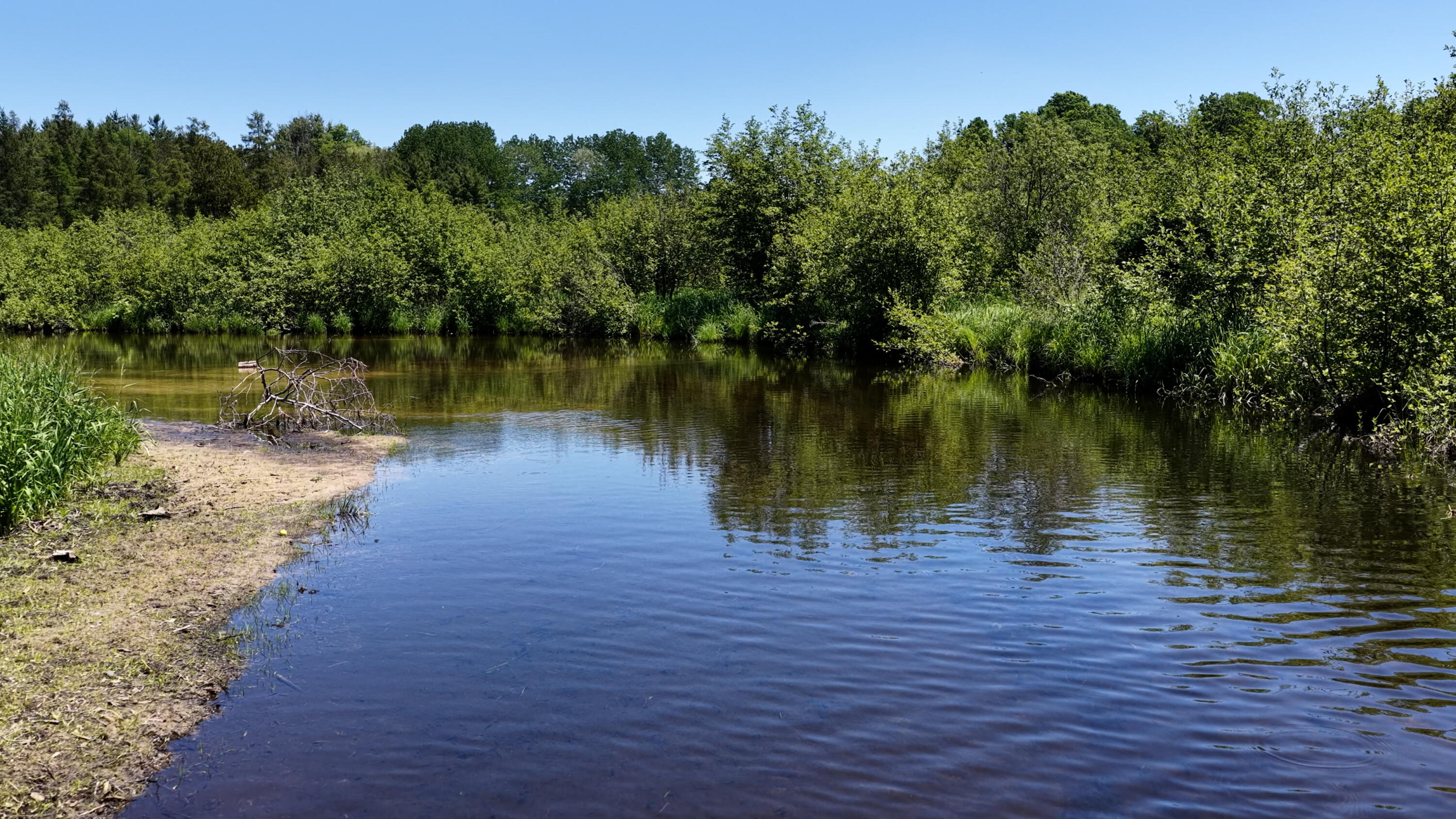17274 Wilson Road Big Rapids, MI 49307 - Photo 40 of 51 DJI_20260608054318_0075_D.00_22_03_00.St