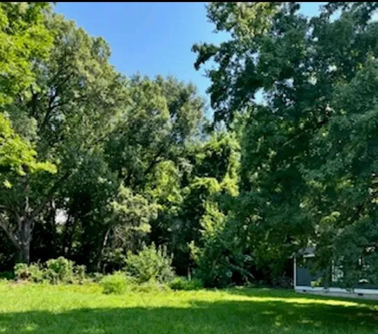 a view of a lush green space