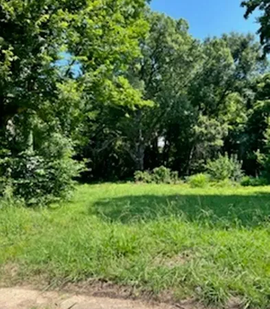 a view of a yard