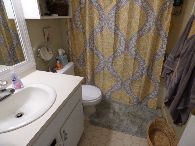 109 Ridgewood Drive Daphne, AL 36526 - Photo 9 of 20 downstairs bath