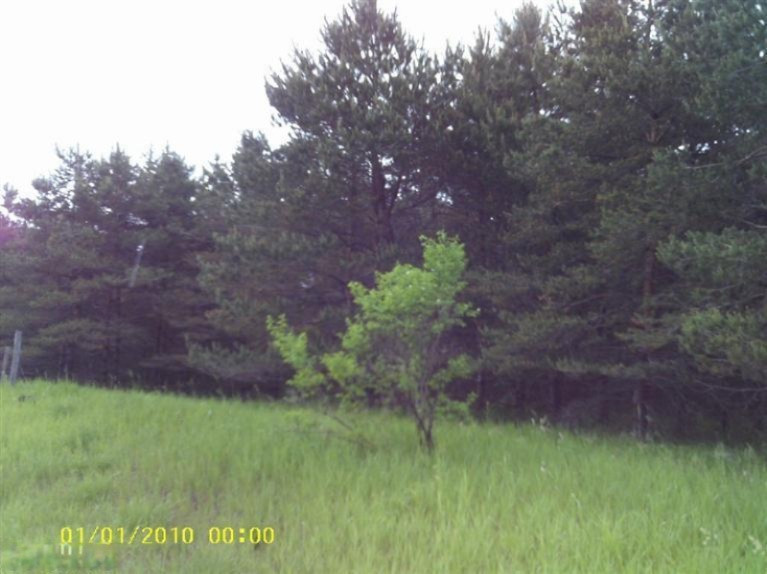 4200 Fullerton Road Luther, MI 49656 - Photo 2 of 6 Additional Photo