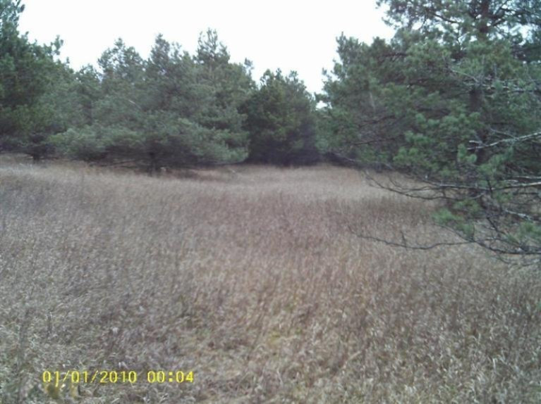 4200 Fullerton Road Luther, MI 49656 - Photo 6 of 6 Additional Photo