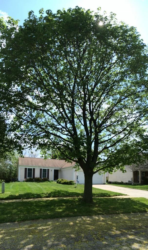 969 Cobblers Road Waterford, MI 48327 - Photo 2 of 23 Front Tree.jpg