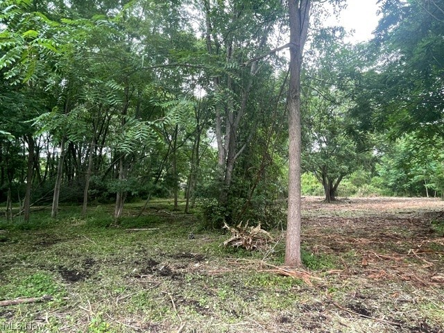 Brant Avenue Northwest Canton, OH 44708 - Photo 5 of 10 View of woods