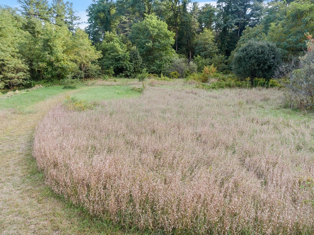 51 Farwell Road Tyngsborough, MA 01879 - Photo 30 of 33 a view of a yard with a tree