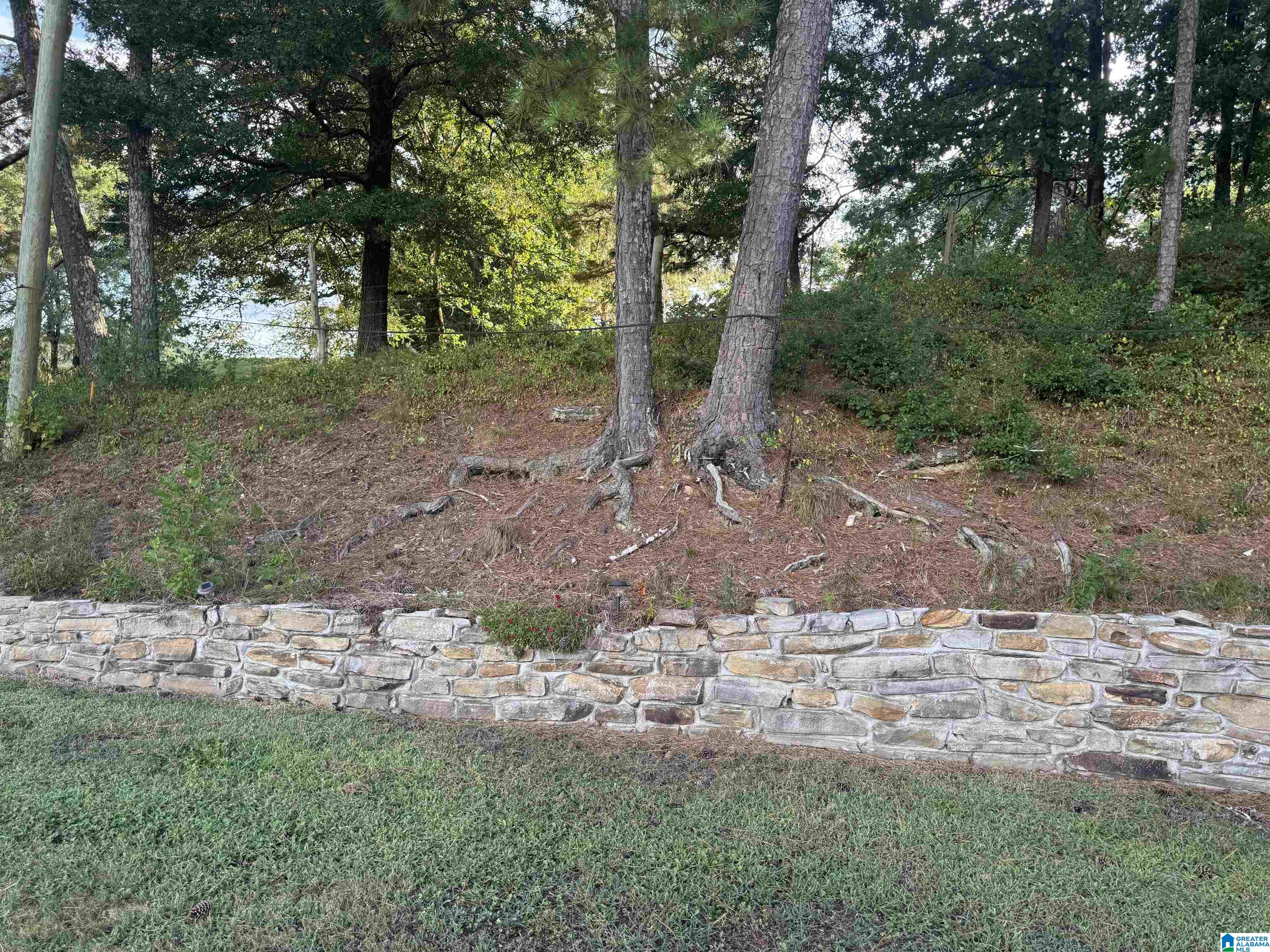 19598 Highway 26 Oneonta Al Oneonta, AL 35121 - Photo 33 of 38