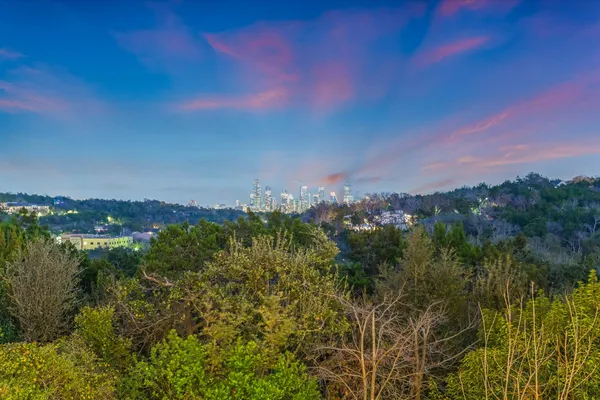 a view of a city with lush green forest