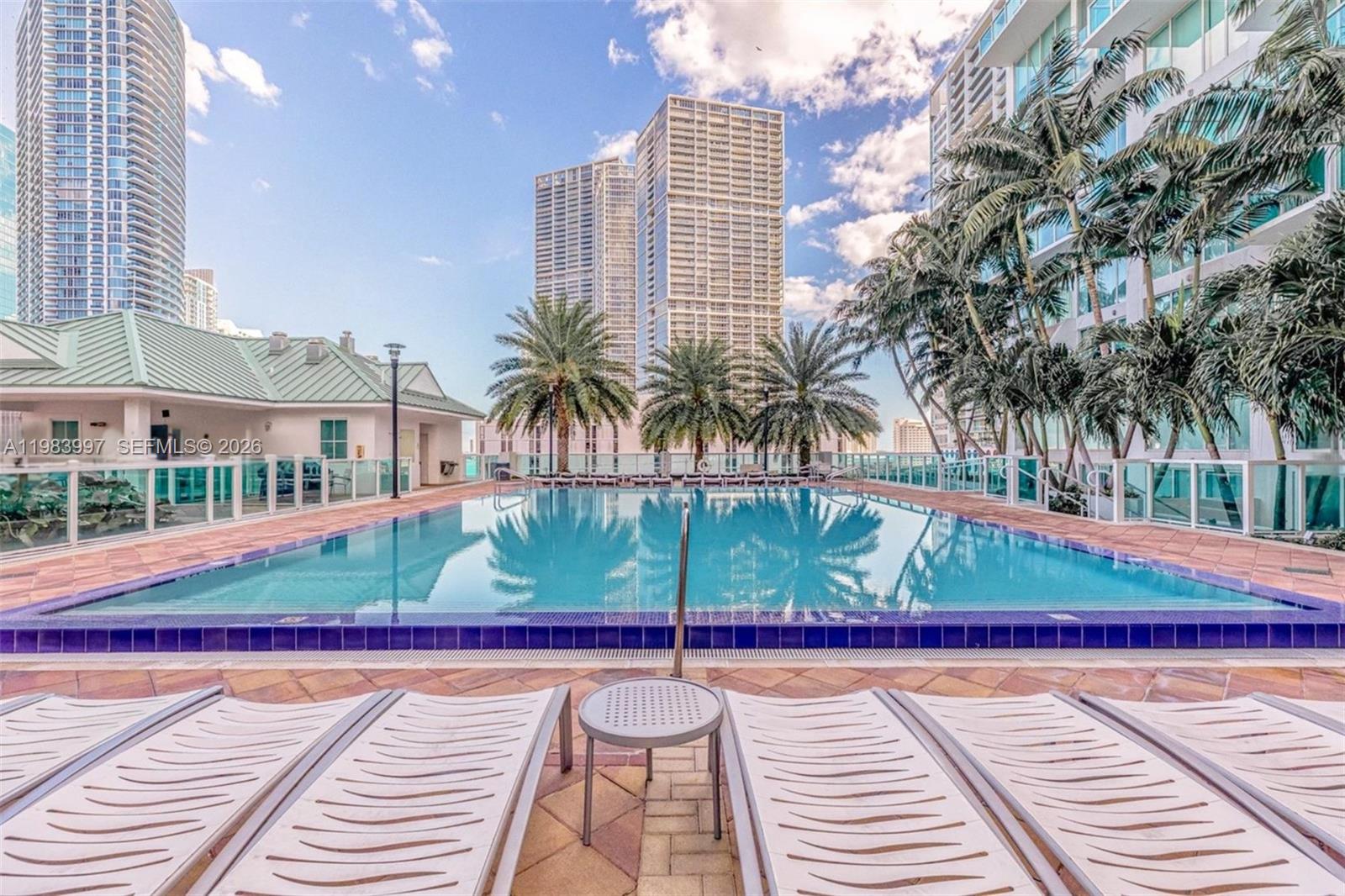 a view of a swimming pool with a lawn chairs and palm trees
