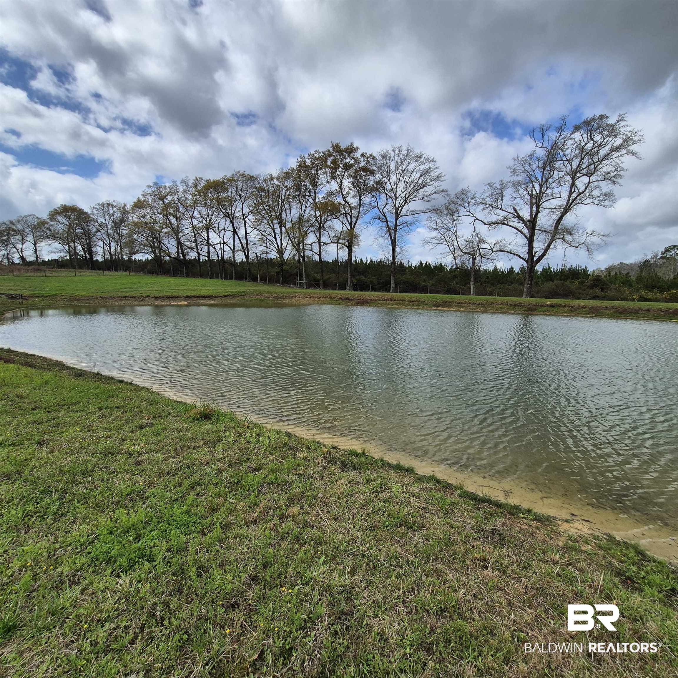 26635 Highway 41 Range, AL 36473 - Photo 56 of 74 Water view