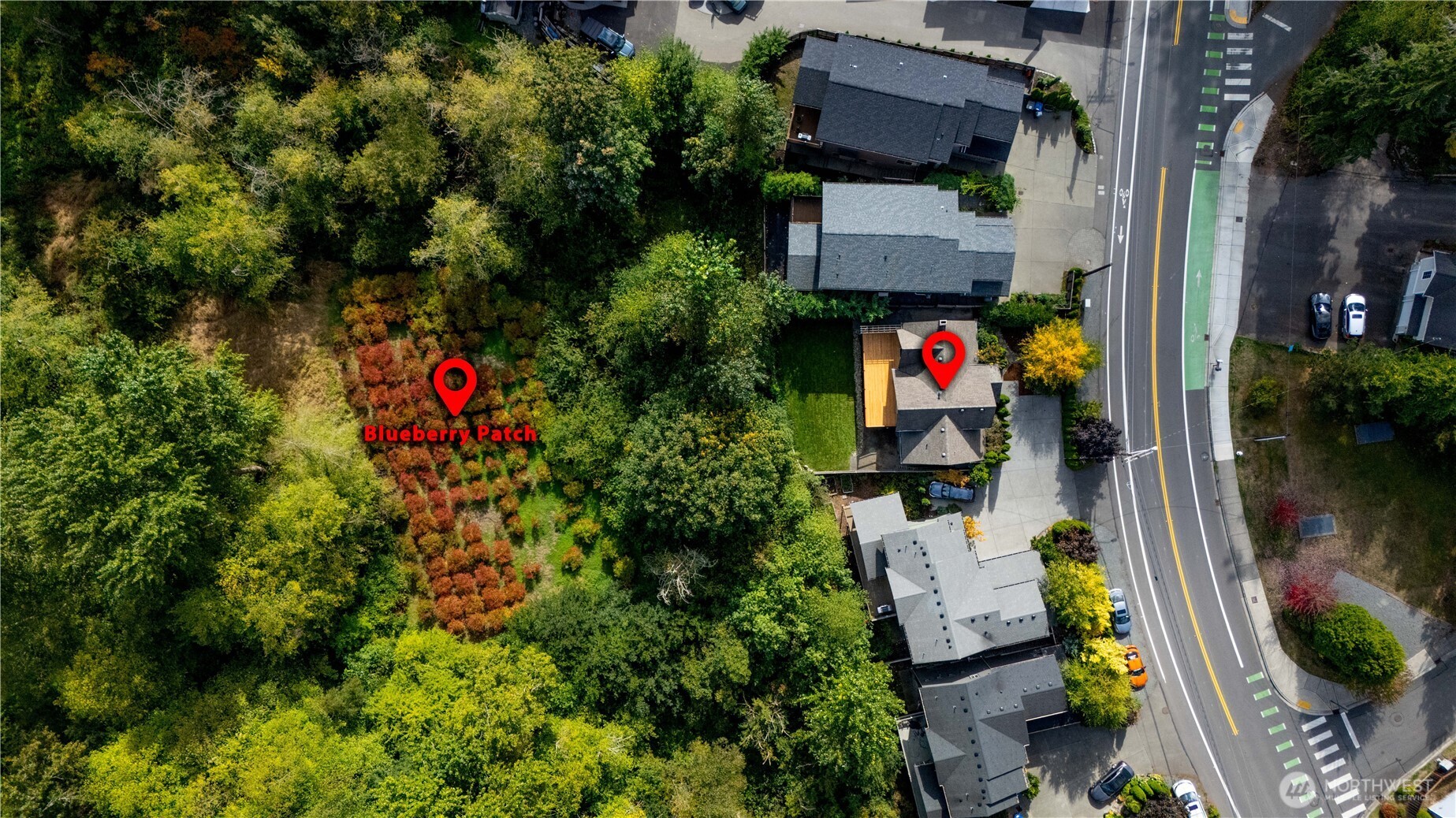 20006 68th Avenue Northeast Kenmore, WA 98028 - Photo 40 of 40 an aerial view of a house with a yard and garden