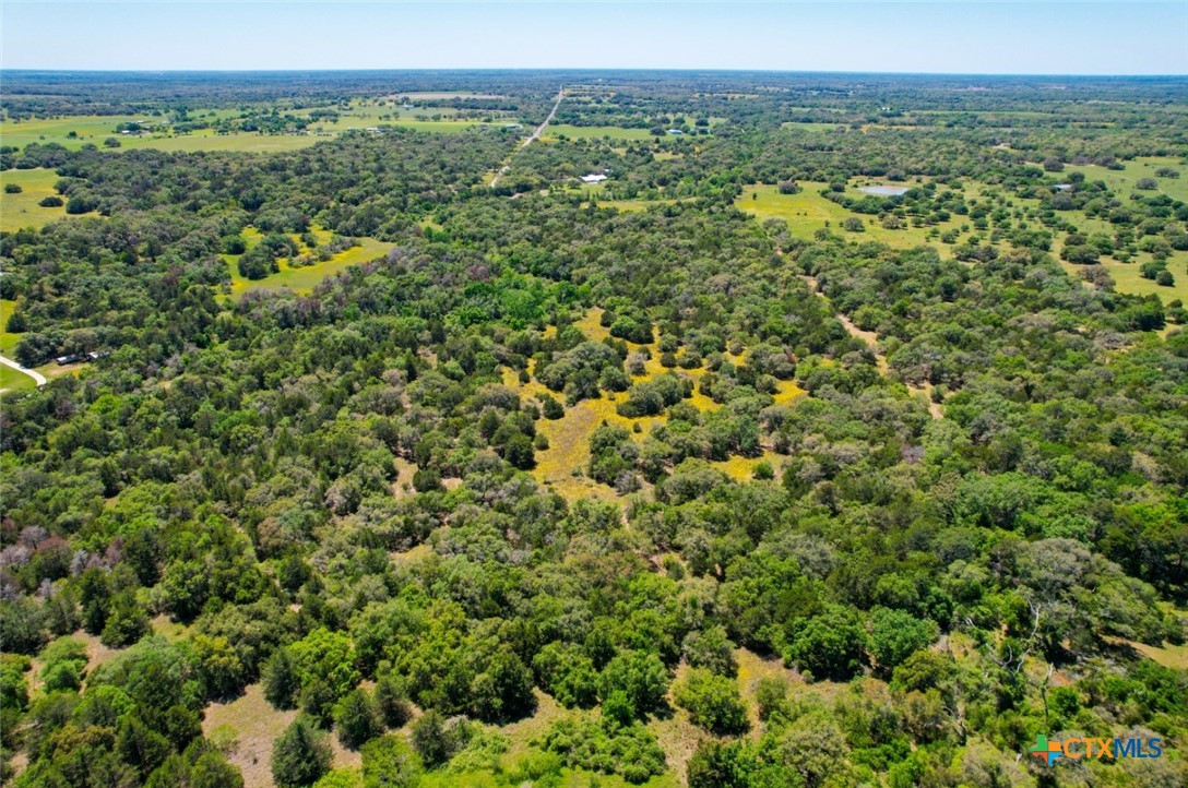 280 Hebron Church Road Yoakum, TX 77995 - Photo 47 of 48