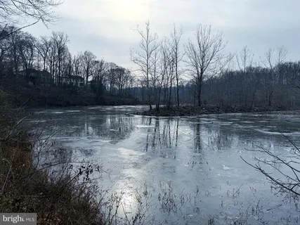 a view of water with trees in the background