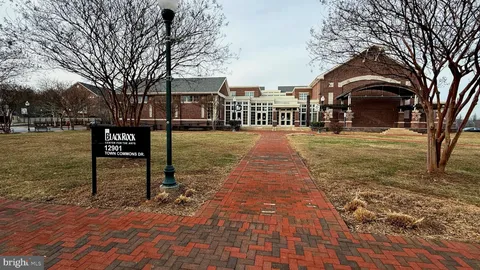 a view of a yard with a trees