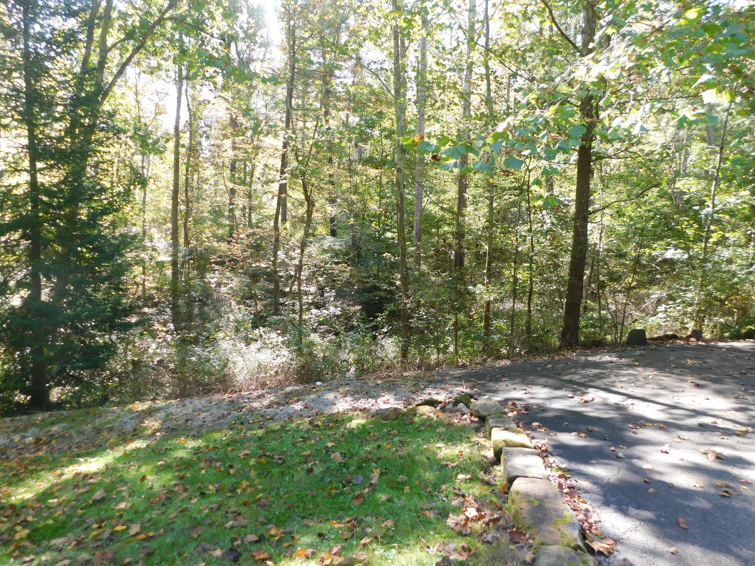 16972 Rocky Fork Road Logan, OH 43138 - Photo 26 of 45 DSCN0931