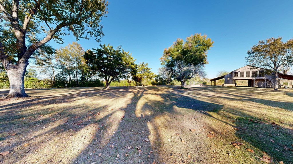 518 Ballard Road Black, AL 36314 - Photo 60 of 63 Gallery Image 60