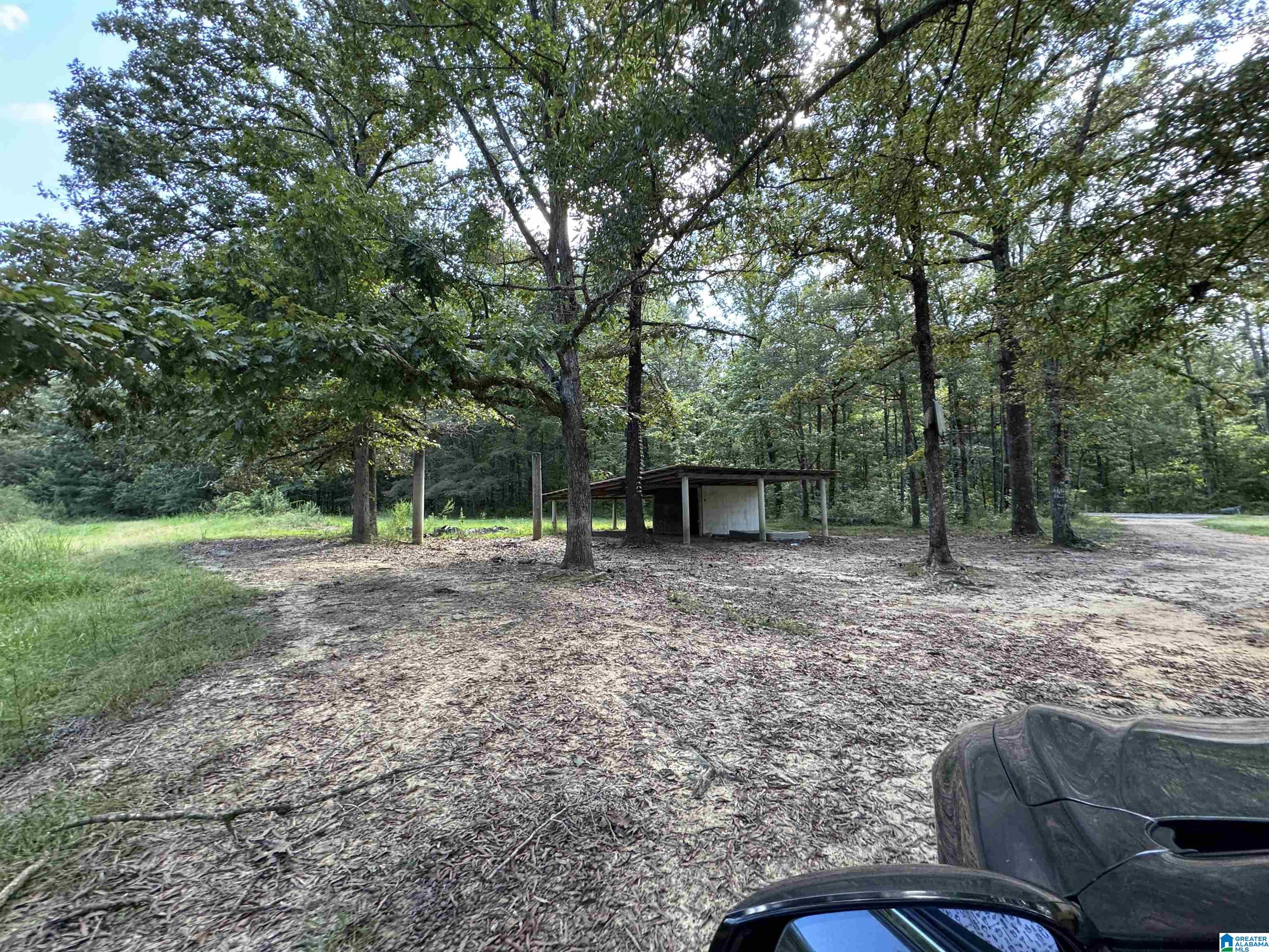 20394 County Road 55 Sterrett, AL 35147 - Photo 35 of 43