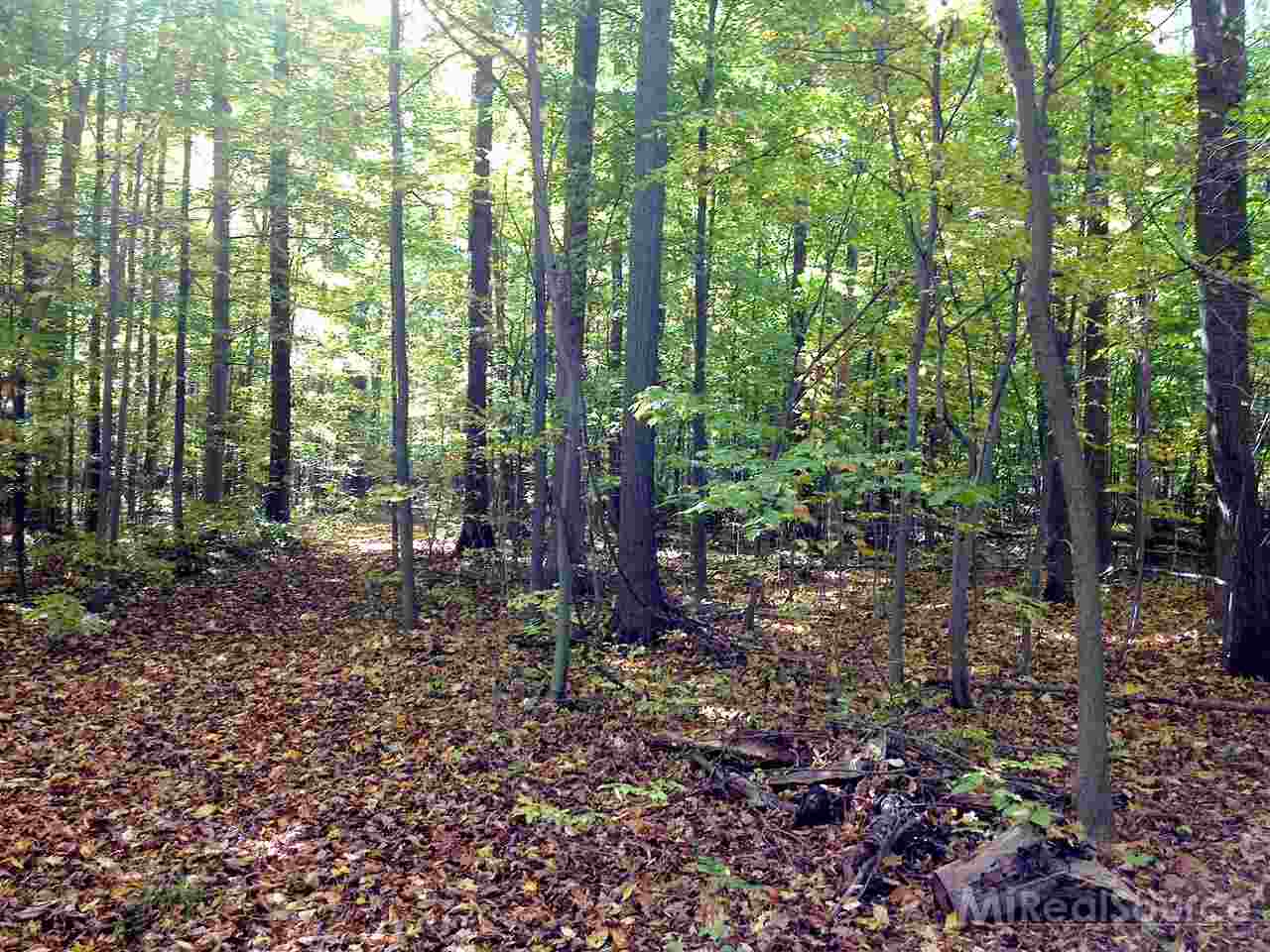 24740 Armada Center Road Armada, MI 48005 - Photo 2 of 2 31196787-1.JPG