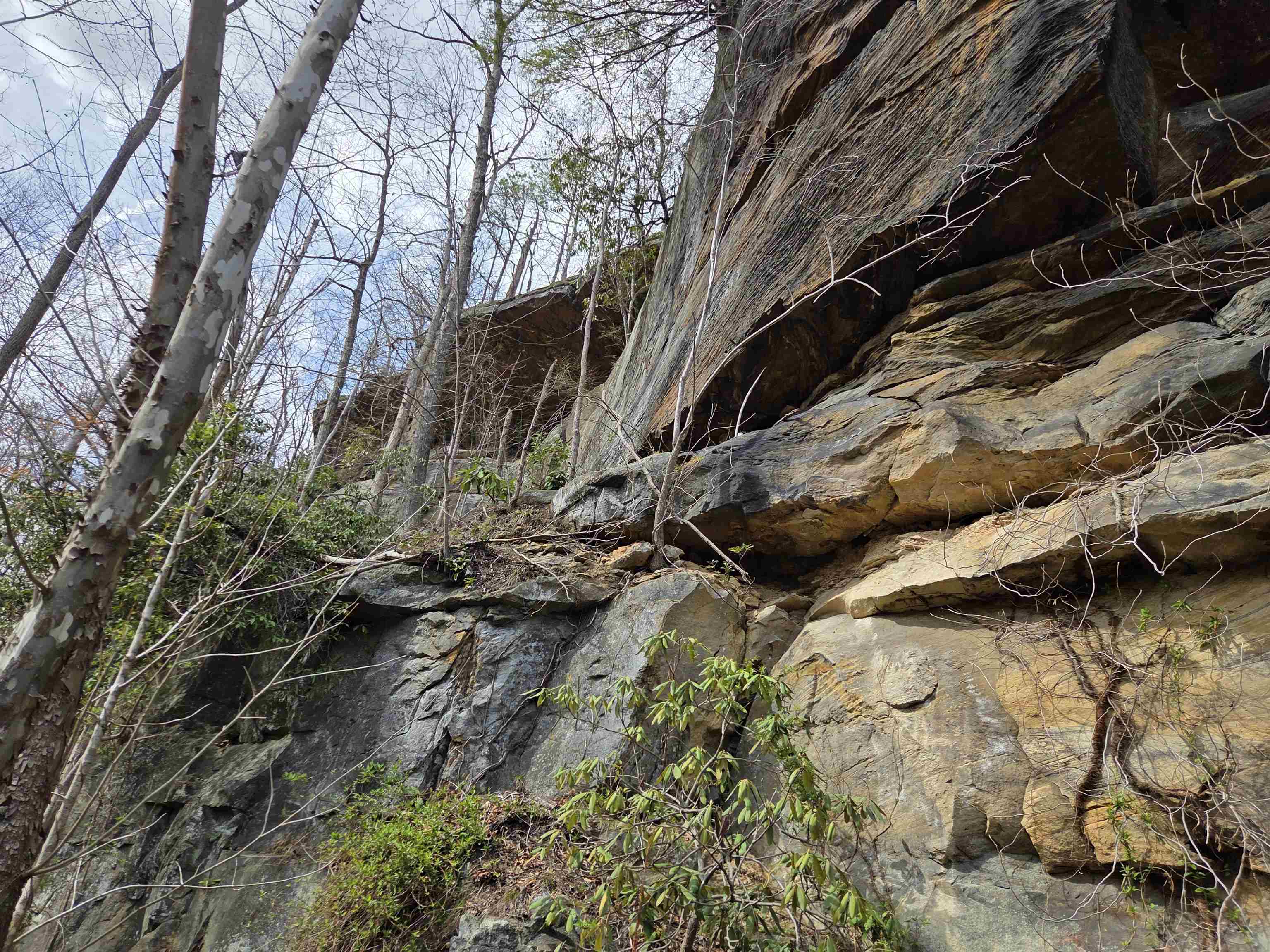 Kiser Fork Road Olive Hill, KY 41164 - Photo 13 of 46 Gallery Image 13