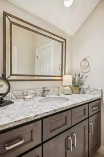 a view of a forest filled with trees