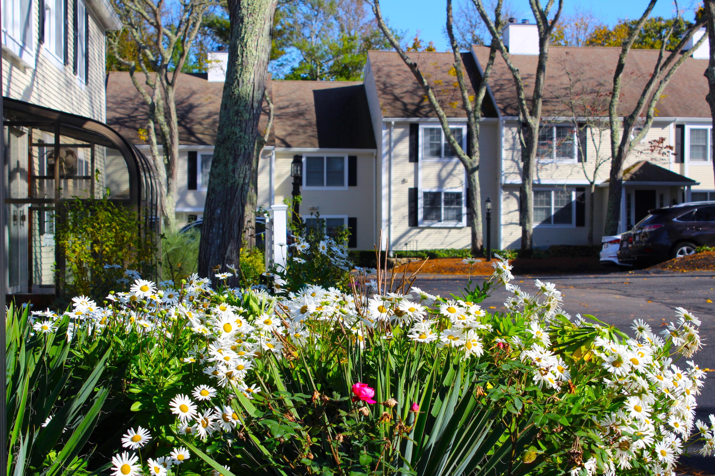 727 Main Street, Unit E1 Osterville, MA 02655 - Photo 2 of 27 IMG_5391