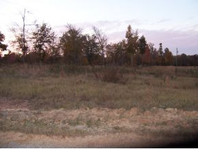 1018 Bonner Road Lincolnton, GA 30817 - Photo 1 of 1 Main View