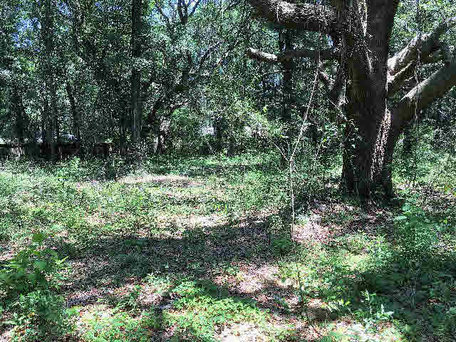 7275 Pinehill Road Daphne, AL 36526 - Photo 7 of 11
