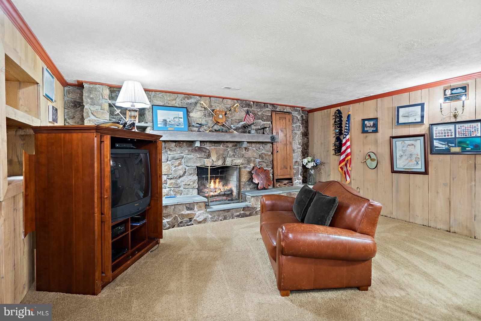 14249 Hume Road Hume, VA 22639 - Photo 28 of 48 a living room with furniture a flat screen tv and a fireplace