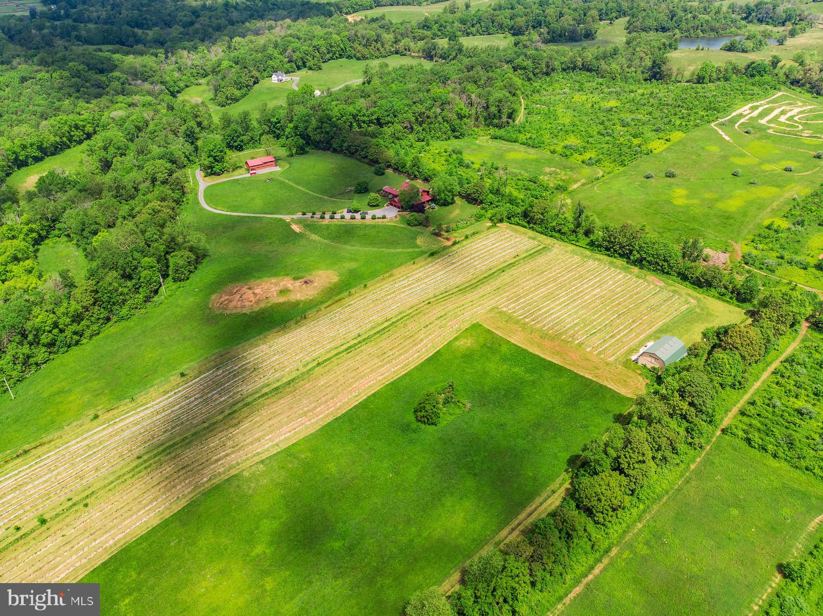 14249 Hume Road Hume, VA 22639 - Photo 4 of 48 a view of a garden with an outdoor space
