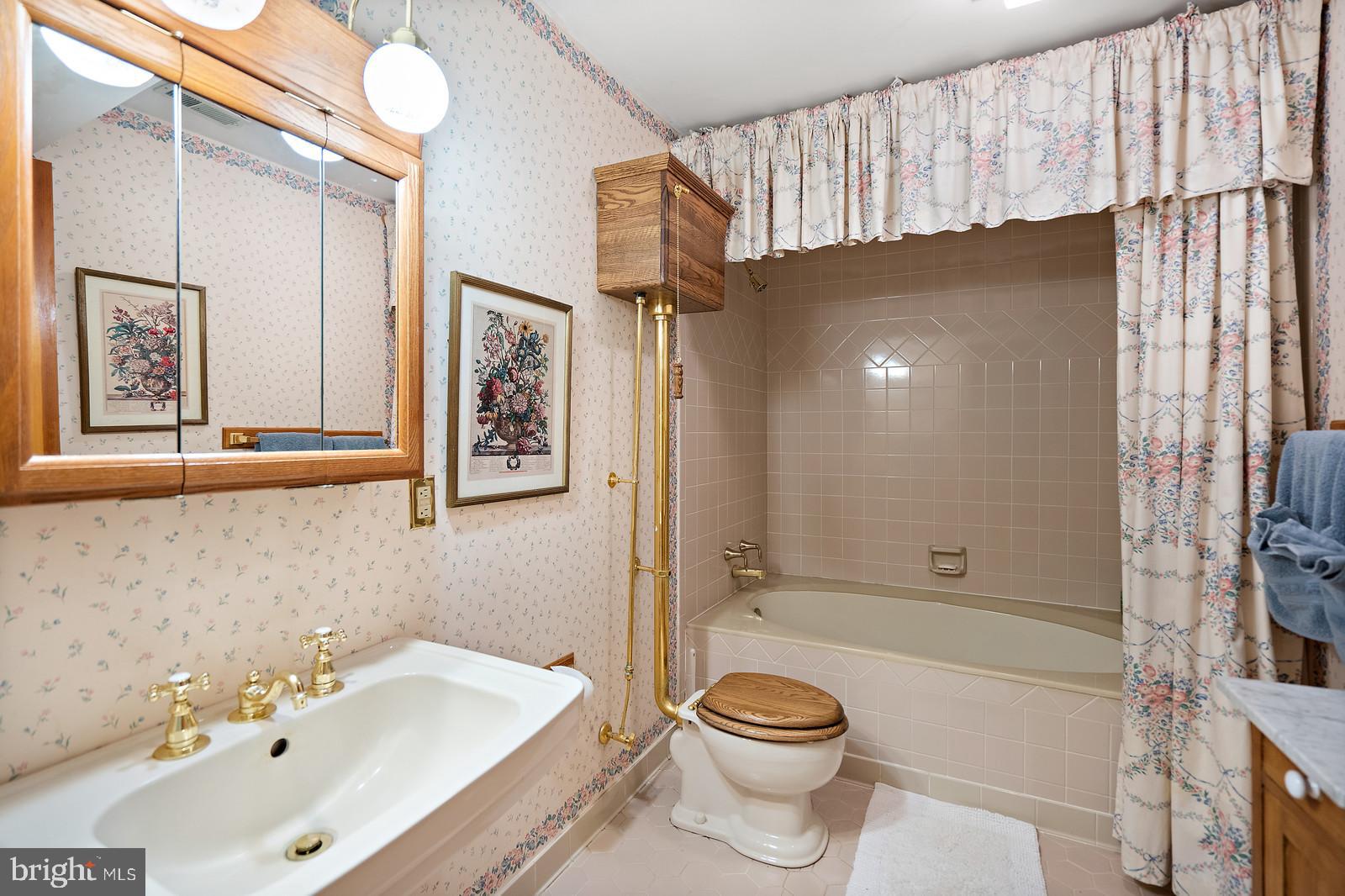 14249 Hume Road Hume, VA 22639 - Photo 31 of 48 a bathroom with a sink a toilet and shower