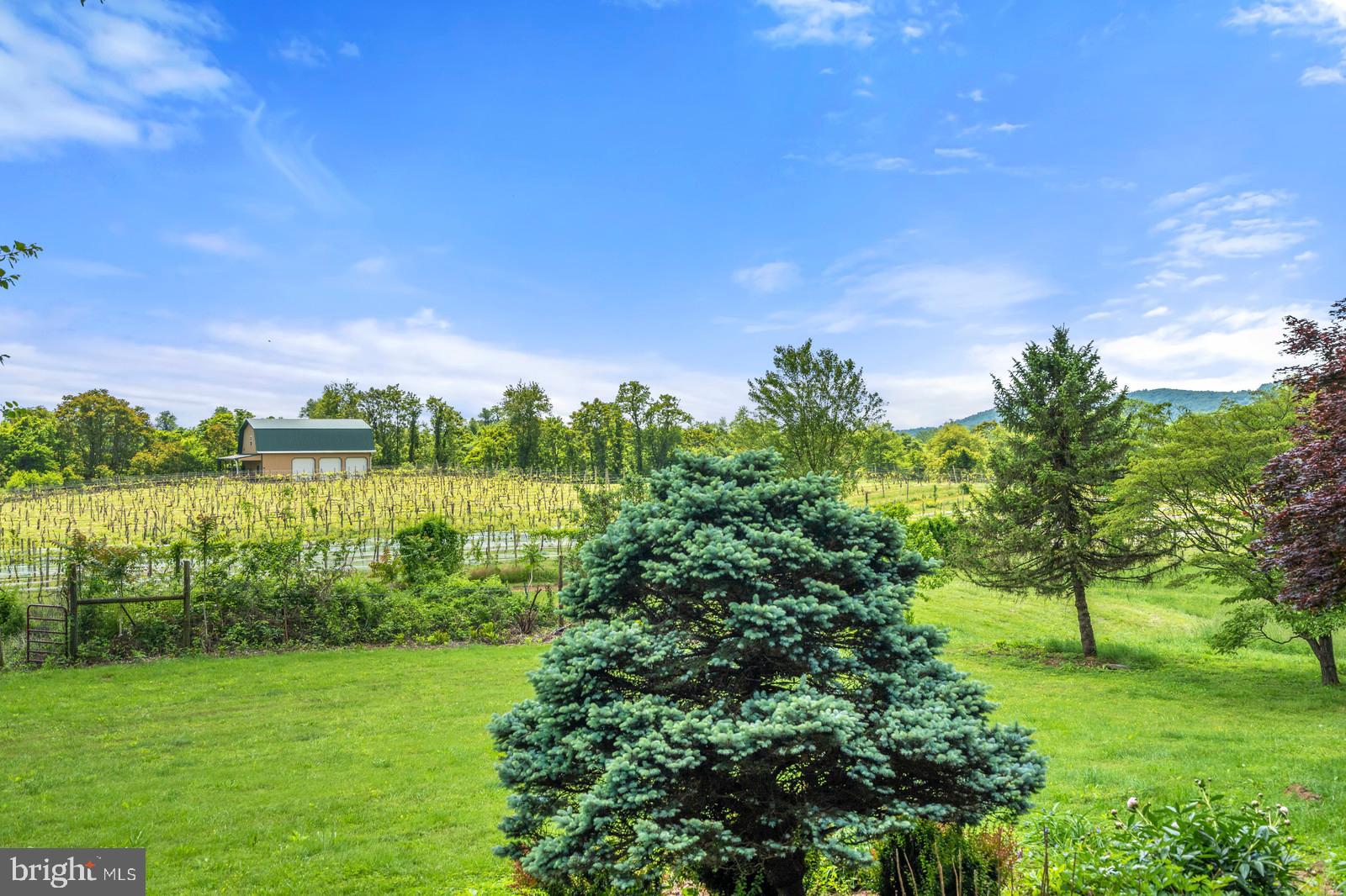 14249 Hume Road Hume, VA 22639 - Photo 44 of 48 a view of a lake with a big yard