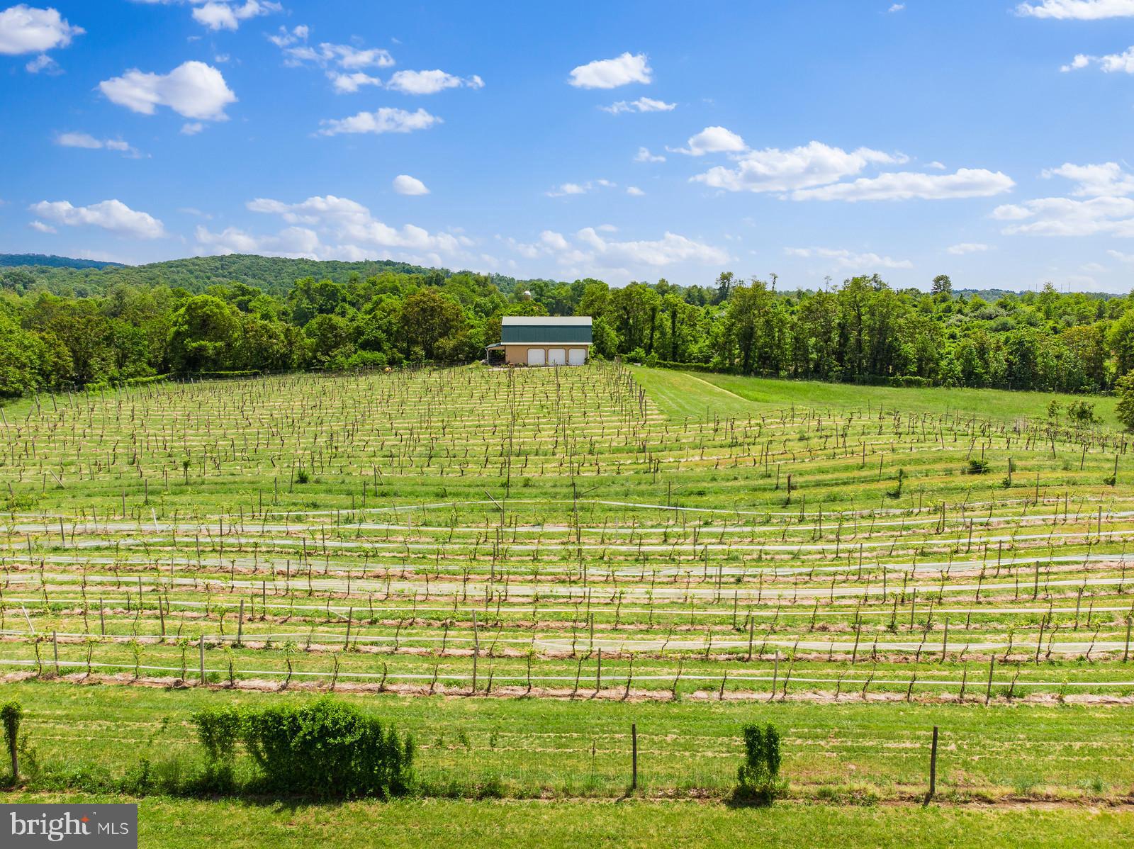 14249 Hume Road Hume, VA 22639 - Photo 45 of 48 a view of an outdoor space and yard