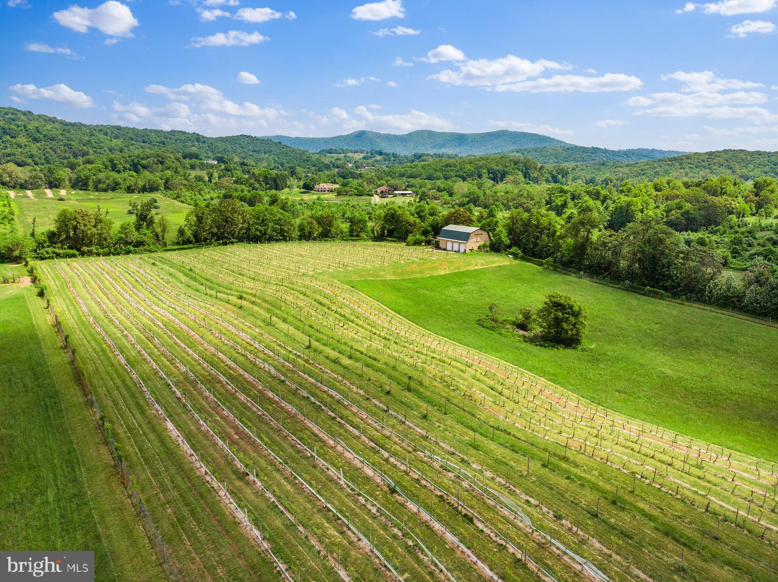 14249 Hume Road Hume, VA 22639 - Photo 47 of 48 a view of a lush green field
