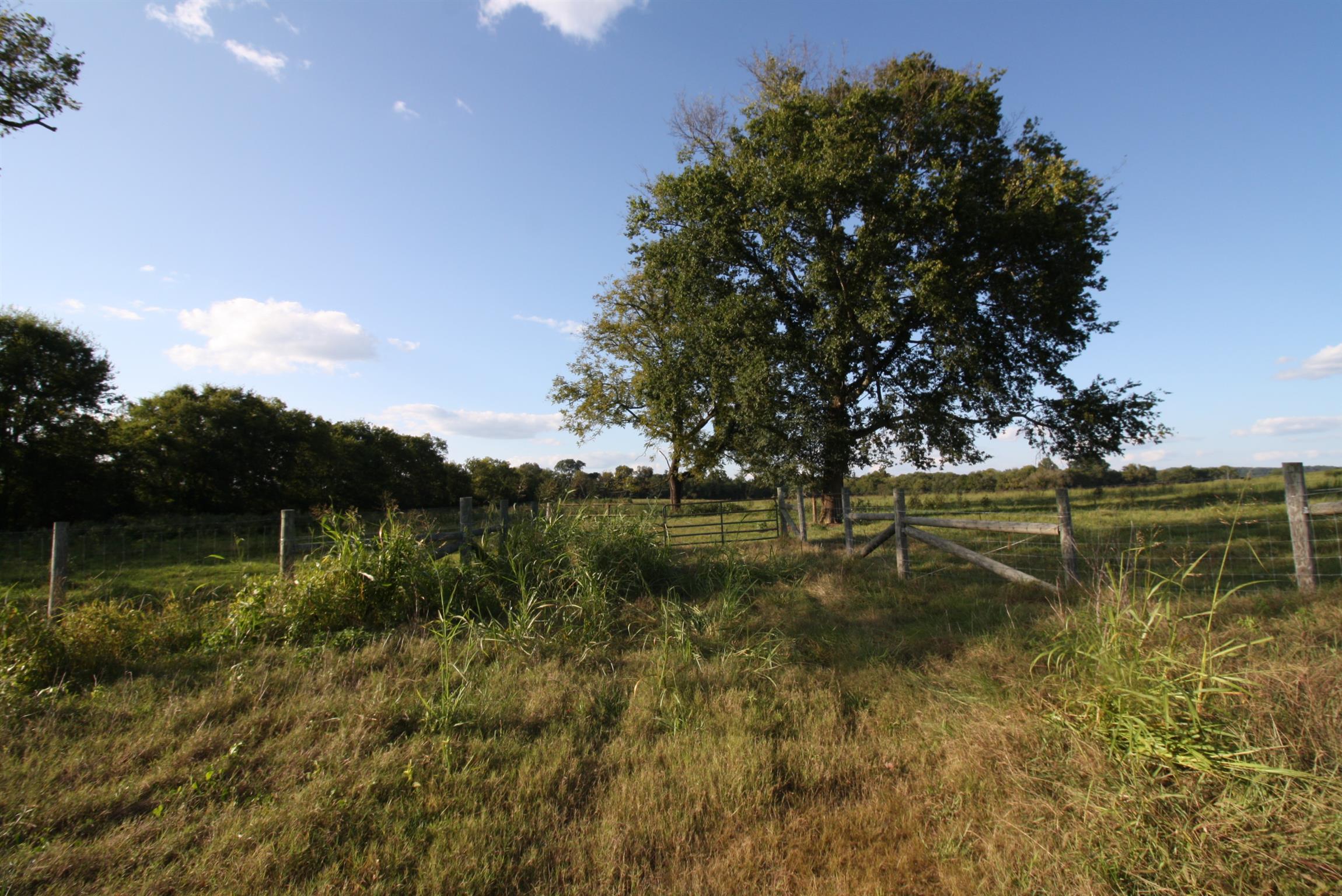 0 Rambo Road Kelso, TN 37348 - Photo 2 of 8