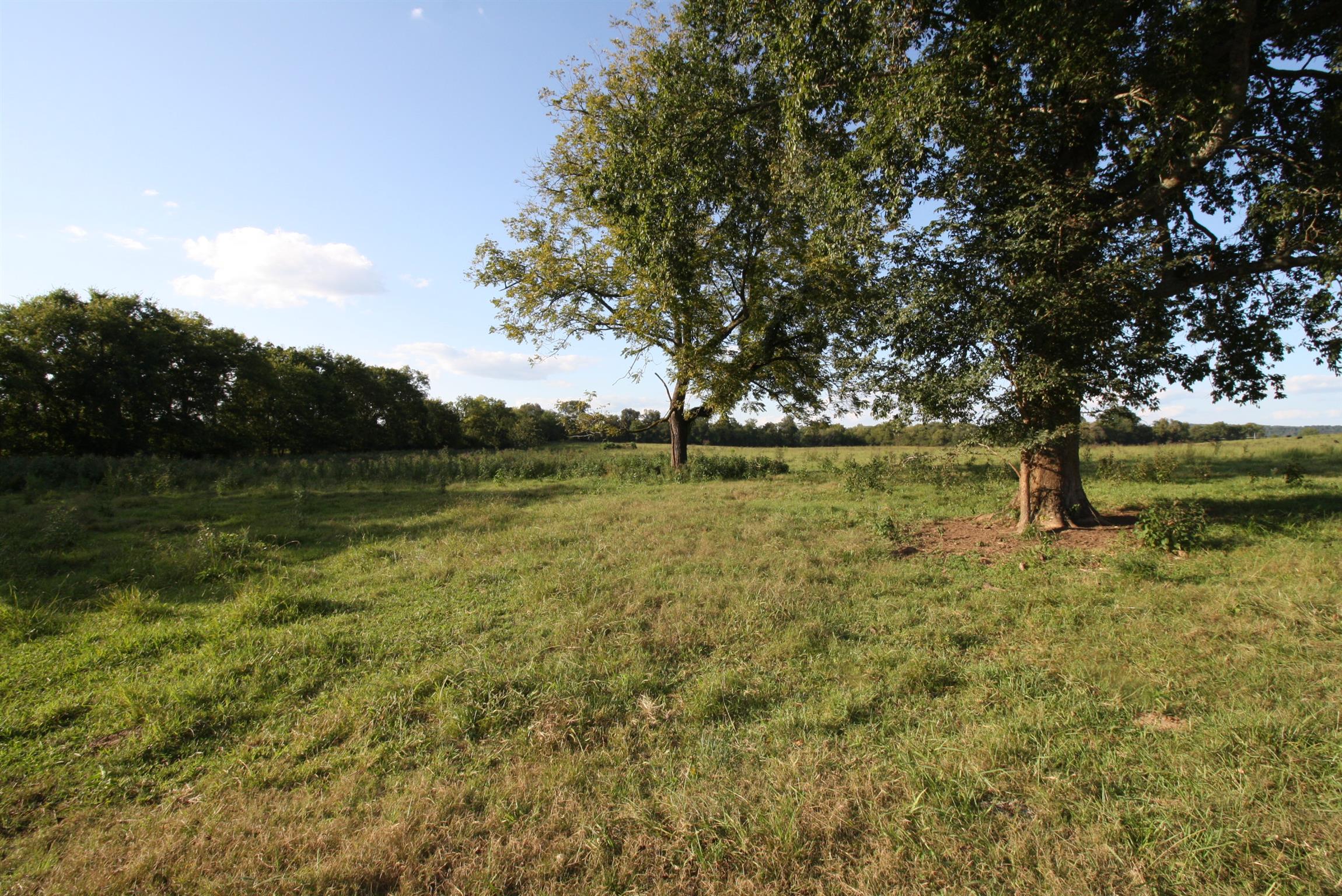 0 Rambo Road Kelso, TN 37348 - Photo 4 of 8