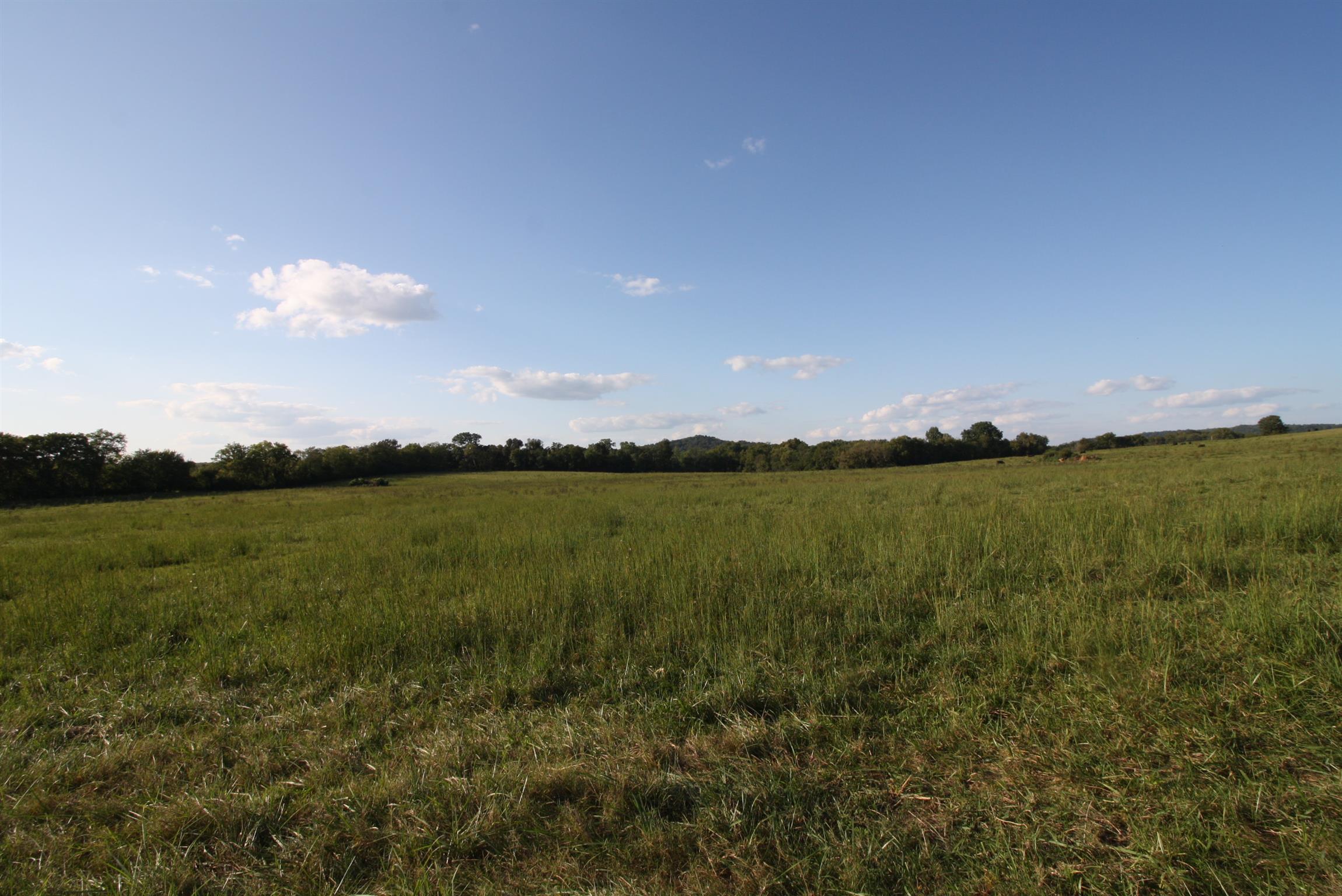 0 Rambo Road Kelso, TN 37348 - Photo 5 of 8