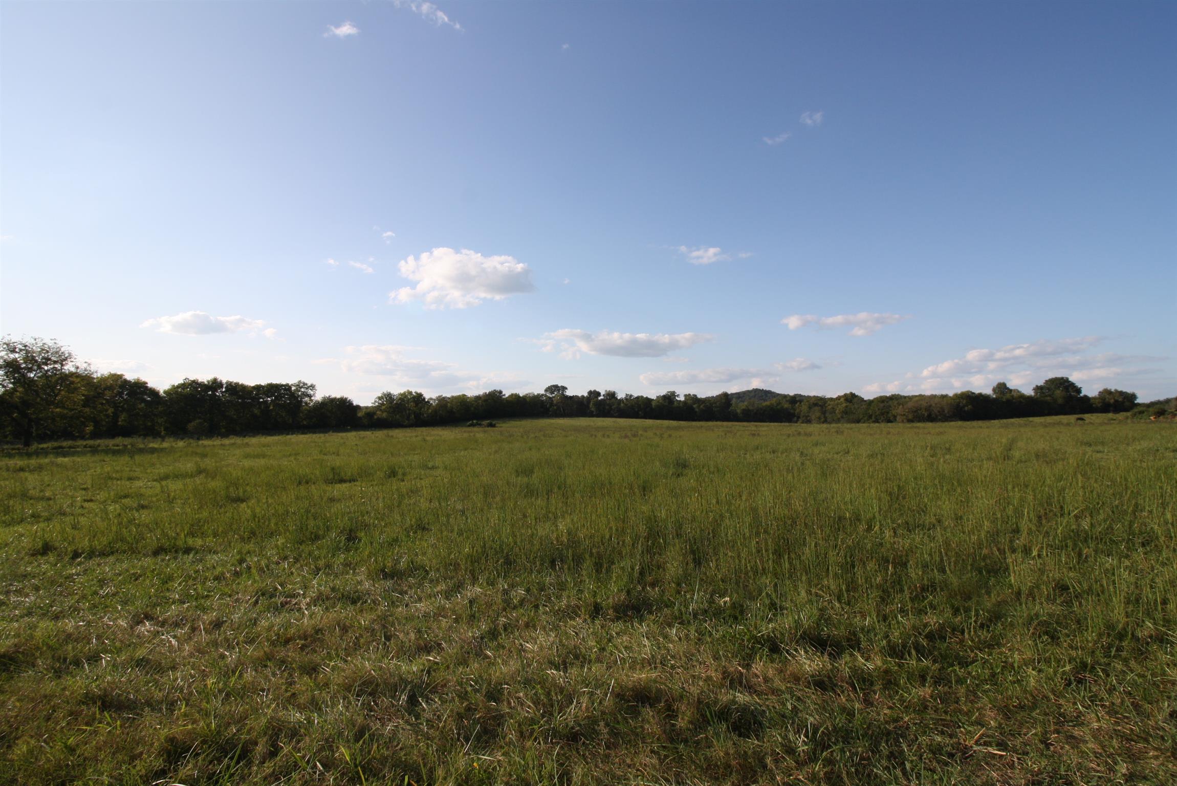 0 Rambo Road Kelso, TN 37348 - Photo 6 of 8