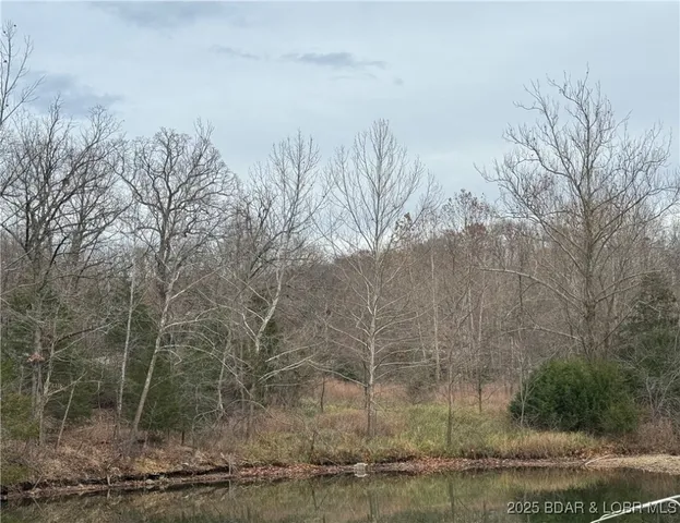 $800,000 | Tbd Tbd Osage Beach Parkway, Osage Beach, MO 65065