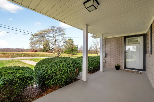 a view of a garden from window