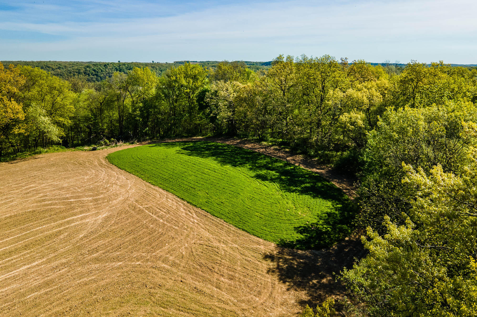 15999 Biba Road Muscoda, WI 53573 - Photo 55 of 103 Grant-County-WI-160-Acres-Land-For-Sale-