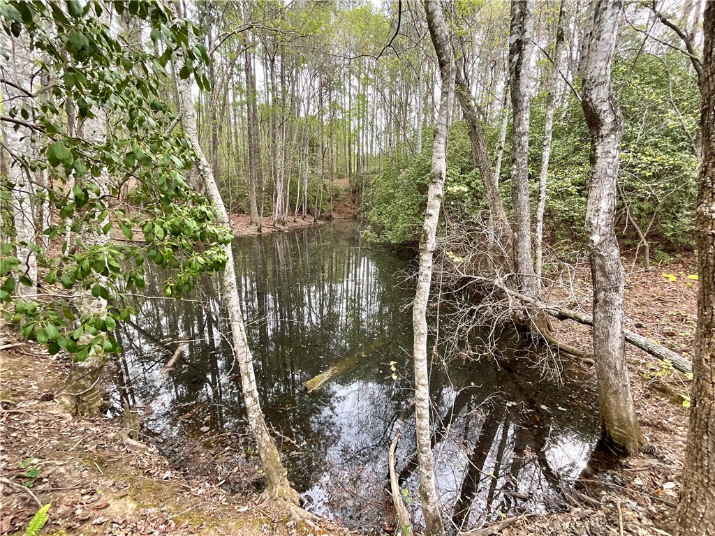Lot 89 Timber Lane Seneca, SC 29672 - Photo 15 of 43 Pond