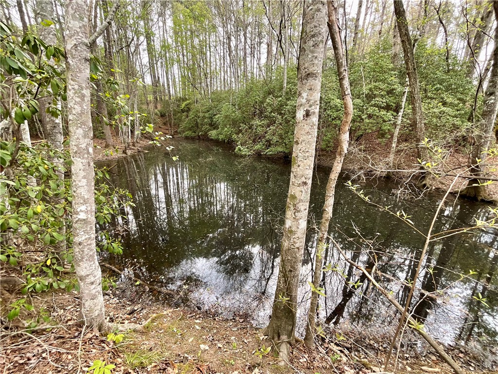 Lot 89 Timber Lane Seneca, SC 29672 - Photo 16 of 43