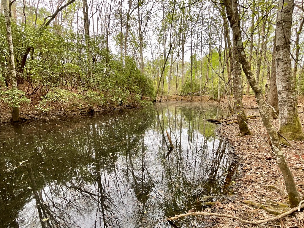 Lot 89 Timber Lane Seneca, SC 29672 - Photo 17 of 43
