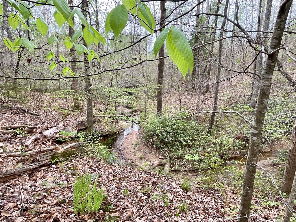 Lot 89 Timber Lane Seneca, SC 29672 - Photo 19 of 43 Creek