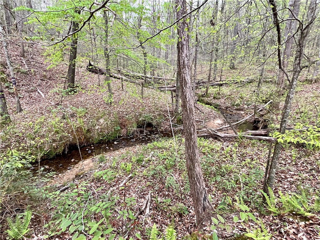Lot 89 Timber Lane Seneca, SC 29672 - Photo 20 of 43 Creek