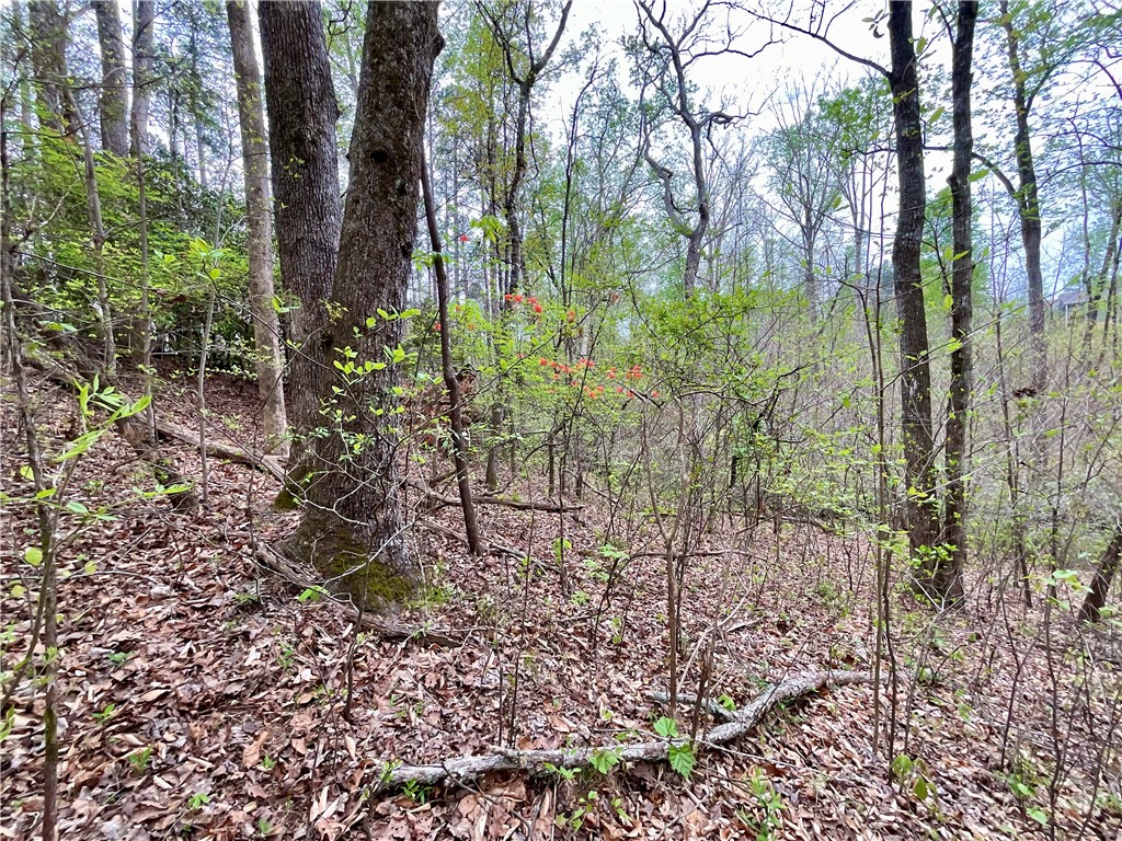 Lot 89 Timber Lane Seneca, SC 29672 - Photo 22 of 43