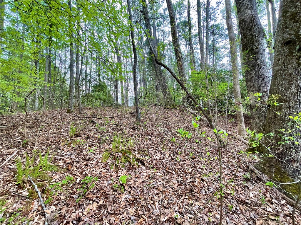 Lot 89 Timber Lane Seneca, SC 29672 - Photo 23 of 43