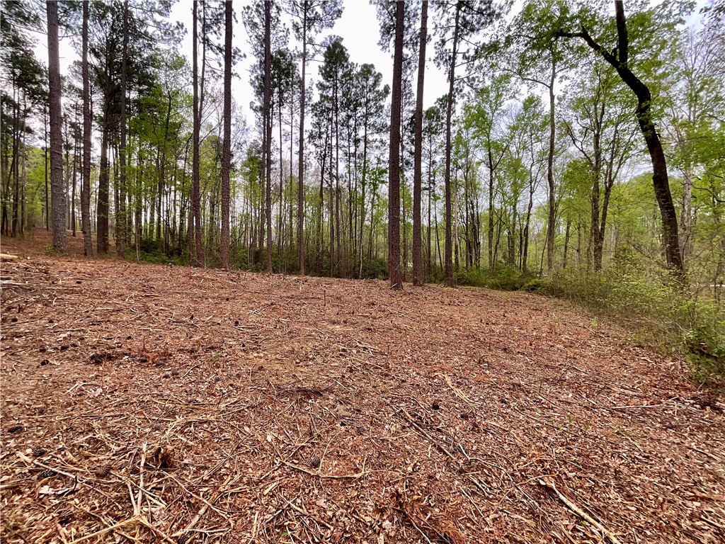 Lot 89 Timber Lane Seneca, SC 29672 - Photo 24 of 43