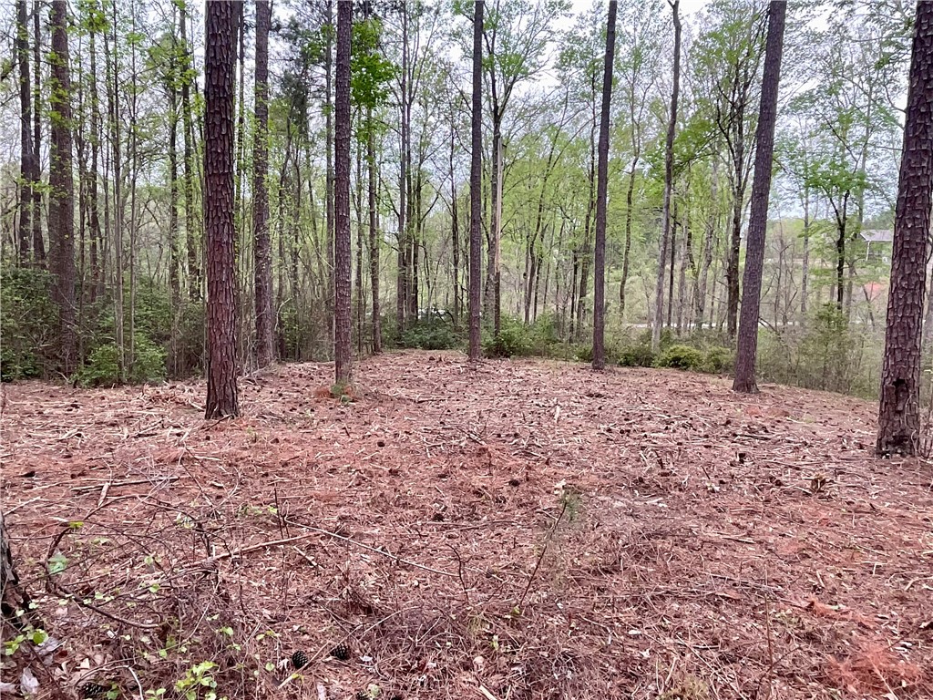 Lot 89 Timber Lane Seneca, SC 29672 - Photo 25 of 43