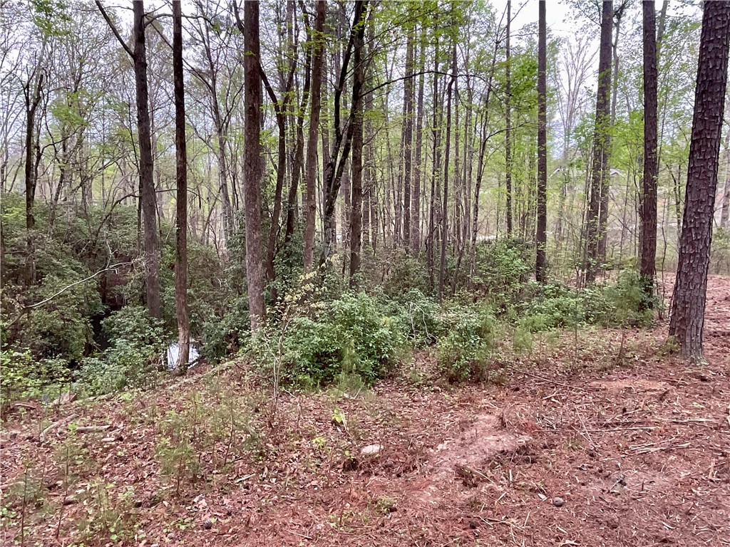 Lot 89 Timber Lane Seneca, SC 29672 - Photo 26 of 43